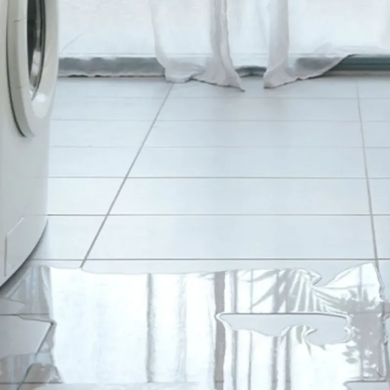 Appliance Leak Cleanup in South Chicago, IL