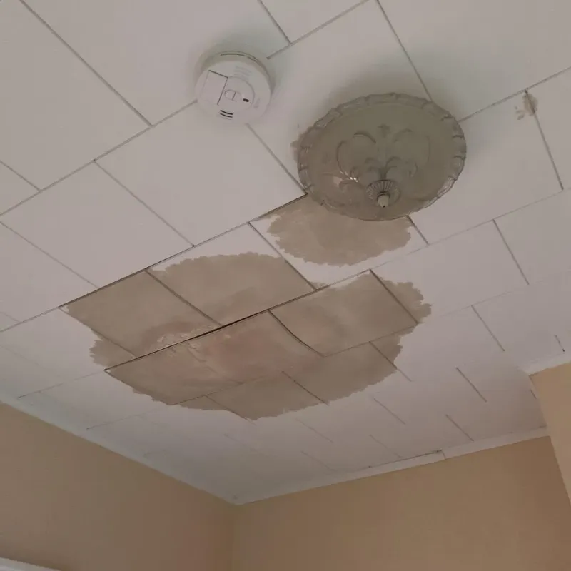 Ceiling Water Damage Repair in South Chicago, IL