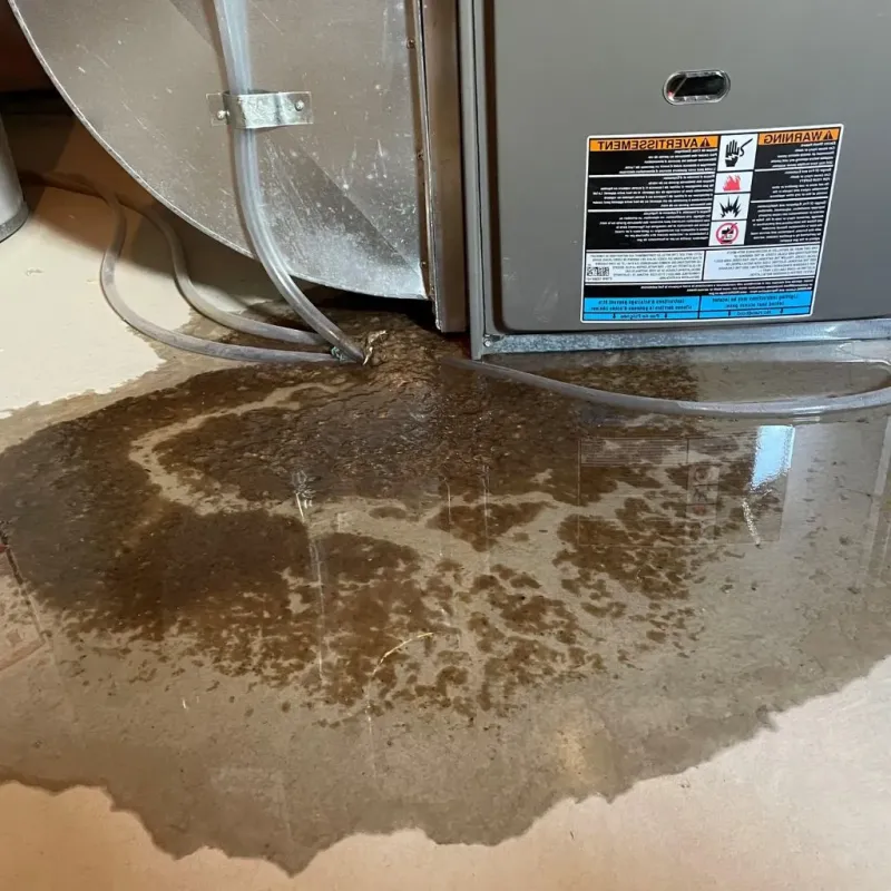 Pipe Burst and Leak Restoration in South Chicago, IL